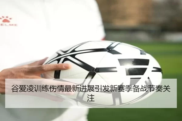 谷爱凌训练伤情最新进展引发新赛季备战节奏关注